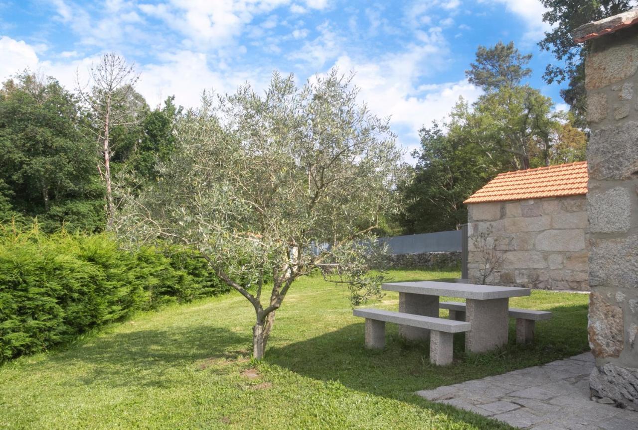 Apartmán Casas D'Oliva Caramulo Exteriér fotografie